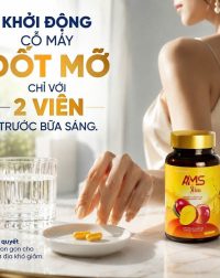 ams-slim